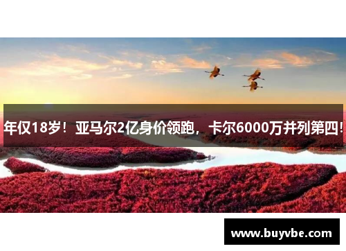 年仅18岁！亚马尔2亿身价领跑，卡尔6000万并列第四！